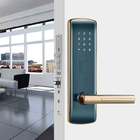 TTLock APP Apartment Door Lock Alkaline Battery FCC مع لوحة مفاتيح تعمل باللمس